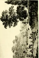 An illustration from The iconography of Manhattan Island, 1498-1909 : compiled from original sources and illustrated by photo-intaglio reproductions of important maps, plans, views, and documents in public and private collections (1915)