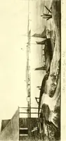 An illustration from The iconography of Manhattan Island, 1498-1909 : compiled from original sources and illustrated by photo-intaglio reproductions of important maps, plans, views, and documents in public and private collections (1915)