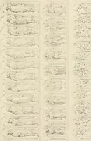 An illustration from Iconography of the west front of Wells cathedral, with an appendix on the sculptures of other medieval churches in England; (1851)