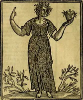 Picture 63 of 362 from Iconologia (1645), leaf 167