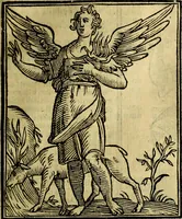 Picture 95 of 362 from Iconologia (1645), leaf 216