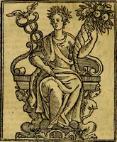 Picture 131 of 362 from Iconologia (1645), leaf 275