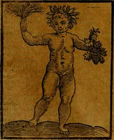 Picture 149 of 362 from Iconologia (1645), leaf 311