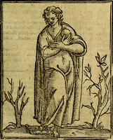 Picture 164 of 362 from Iconologia (1645), leaf 338