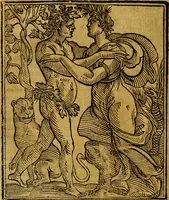 Picture 195 of 362 from Iconologia (1645), leaf 399