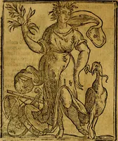 Picture 197 of 362 from Iconologia (1645), leaf 401