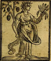 Picture 200 of 362 from Iconologia (1645), leaf 404