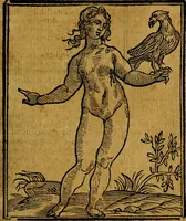 Picture 240 of 362 from Iconologia (1645), leaf 502