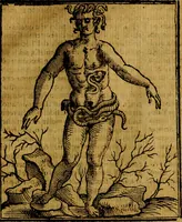 Picture 258 of 362 from Iconologia (1645), leaf 548