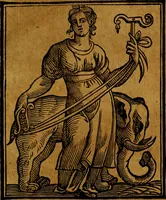 Picture 330 of 362 from Iconologia (1645), leaf 692