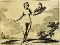 Picture 51 of 97 from Iconologia (1764), leaf 210