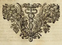 Picture 9 of 14 from Iconologia deorum, oder Abbildung der götter : welche von den alten verehret Worden ... samt dero eigentlicher Beschreibung und Erklärung der heidnischen Tempel-ceremonien, auch Vorbildung der thiere und anderer Sachen ... (1680), leaf 203