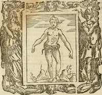 An illustration from Iconologia di Cesare Ripa perugino, cavre. de sti. Mauritio, e Lazzaro : nella quale si descriuono diuerse imagini di virtù, vitij, affetti, passioni humane, arti, discipline, humori, elementi, corpi celesti, prouincie d'Italia, fiumi, tutte le parti del mondo, ed altere infinite materie : opera vtile ad oratori, predicatori, poeti, pittori, scultori, disegnatori, e ad ogni studioso .. (1613)