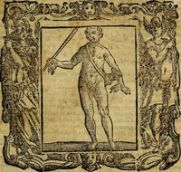 Picture 171 of 206 from Iconologia di Cesare Ripa Perugina ... Nella quale si descrivono diverse imagini di virtù, vitij, affetti, passioni humane, arti discipline, humori, elementi, corpi celesti, prouincie d'Italia, fiumi, tutte le parti del mondo, ed altre infinite materie. Opera utile ad oratori, predicatori, poeti pittori, sculptori, disegnatori, e ad ogni studioso, per inuentar concetti, emblemi, ed imprese, per diuisare qualsiuoglia appatato nuttiale, funerale, trionfale. Per rappresentar poemi drammatici, e per figurare co'suoi propij simboli ciò, che può cadere in pensiero humano. Ampliata ultimamente dallo stresso autore di CC. imagini, e erricchita di molti discorsi pieni di varia eruditione .. (1613), leaf 666
