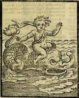 Picture 23 of 358 from Iconologia di Cesare Ripa ... Divisa in tre libri, ne i quali si esprimono varie imagini di virtù, vitij, affetti, passioni humane, arti, discipline, humori, elementi, corpi celesti, prouincie d'Italia, fiumi, & altre materie infinite vtili ad ogni stato di persone (1669), leaf 100