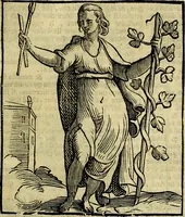 An illustration from Iconologia di Cesare Ripa ... Divisa in tre libri, ne i quali si esprimono varie imagini di virtù, vitij, affetti, passioni humane, arti, discipline, humori, elementi, corpi celesti, prouincie d'Italia, fiumi, & altre materie infinite vtili ad ogni stato di persone (1669)