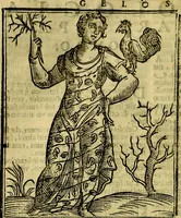 An illustration from Iconologia di Cesare Ripa ... Divisa in tre libri, ne i quali si esprimono varie imagini di virtù, vitij, affetti, passioni humane, arti, discipline, humori, elementi, corpi celesti, prouincie d'Italia, fiumi, & altre materie infinite vtili ad ogni stato di persone (1669)