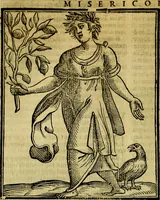Picture 224 of 358 from Iconologia di Cesare Ripa ... Divisa in tre libri, ne i quali si esprimono varie imagini di virtù, vitij, affetti, passioni humane, arti, discipline, humori, elementi, corpi celesti, prouincie d'Italia, fiumi, & altre materie infinite vtili ad ogni stato di persone (1669), leaf 469