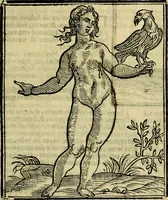 An illustration from Iconologia di Cesare Ripa ... Divisa in tre libri, ne i quali si esprimono varie imagini di virtù, vitij, affetti, passioni humane, arti, discipline, humori, elementi, corpi celesti, prouincie d'Italia, fiumi, & altre materie infinite vtili ad ogni stato di persone (1669)