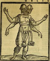 An illustration from Iconologia di Cesare Ripa ... Divisa in tre libri, ne i quali si esprimono varie imagini di virtù, vitij, affetti, passioni humane, arti, discipline, humori, elementi, corpi celesti, prouincie d'Italia, fiumi, & altre materie infinite vtili ad ogni stato di persone (1669)