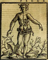 Picture 253 of 358 from Iconologia di Cesare Ripa ... Divisa in tre libri, ne i quali si esprimono varie imagini di virtù, vitij, affetti, passioni humane, arti, discipline, humori, elementi, corpi celesti, prouincie d'Italia, fiumi, & altre materie infinite vtili ad ogni stato di persone (1669), leaf 540