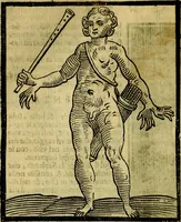 An illustration from Iconologia di Cesare Ripa ... Divisa in tre libri, ne i quali si esprimono varie imagini di virtù, vitij, affetti, passioni humane, arti, discipline, humori, elementi, corpi celesti, prouincie d'Italia, fiumi, & altre materie infinite vtili ad ogni stato di persone (1669)
