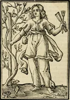 Picture 84 of 189 from Iconologia, of, Uytbeeldingen des verstands : waer in verscheiden afbeeldingen van deughden, ondeughden, genegentheden, menschlijcke hertztochten, konsten, leeringen, sinlijckheden, elementen, hemelsche lichamen, landschappen van Italien, revieren van alle deelen des werrelts, en alle andere ontallijcke stoffen, met hare verklaringen, werden verhandelt : een werck dat dienstigh is, allen reedenaers, poëten, schilders, beeldhouwers, teyckenaers, en alle andere konstbeminders en liefhebbers der geleertheyt en eerlijcke wetenschappen ... (1644), leaf 277