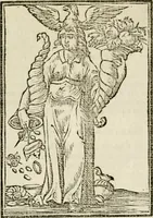Picture 108 of 189 from Iconologia, of, Uytbeeldingen des verstands : waer in verscheiden afbeeldingen van deughden, ondeughden, genegentheden, menschlijcke hertztochten, konsten, leeringen, sinlijckheden, elementen, hemelsche lichamen, landschappen van Italien, revieren van alle deelen des werrelts, en alle andere ontallijcke stoffen, met hare verklaringen, werden verhandelt : een werck dat dienstigh is, allen reedenaers, poëten, schilders, beeldhouwers, teyckenaers, en alle andere konstbeminders en liefhebbers der geleertheyt en eerlijcke wetenschappen ... (1644), leaf 353