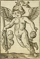 Picture 9 of 189 from Iconologia, of, Uytbeeldingen des verstands : waer in verscheiden afbeeldingen van deughden, ondeughden, genegentheden, menschlijcke hertztochten, konsten, leeringen, sinlijckheden, elementen, hemelsche lichamen, landschappen van Italien, revieren van alle deelen des werrelts, en alle andere ontallijcke stoffen, met hare verklaringen, werden verhandelt : een werck dat dienstigh is, allen reedenaers, poëten, schilders, beeldhouwers, teyckenaers, en alle andere konstbeminders en liefhebbers der geleertheyt en eerlijcke wetenschappen ... (1644), leaf 39
