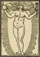 Picture 133 of 189 from Iconologia, of, Uytbeeldingen des verstands : waer in verscheiden afbeeldingen van deughden, ondeughden, genegentheden, menschlijcke hertztochten, konsten, leeringen, sinlijckheden, elementen, hemelsche lichamen, landschappen van Italien, revieren van alle deelen des werrelts, en alle andere ontallijcke stoffen, met hare verklaringen, werden verhandelt : een werck dat dienstigh is, allen reedenaers, poëten, schilders, beeldhouwers, teyckenaers, en alle andere konstbeminders en liefhebbers der geleertheyt en eerlijcke wetenschappen ... (1644), leaf 475