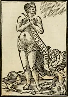 Picture 18 of 189 from Iconologia, of, Uytbeeldingen des verstands : waer in verscheiden afbeeldingen van deughden, ondeughden, genegentheden, menschlijcke hertztochten, konsten, leeringen, sinlijckheden, elementen, hemelsche lichamen, landschappen van Italien, revieren van alle deelen des werrelts, en alle andere ontallijcke stoffen, met hare verklaringen, werden verhandelt : een werck dat dienstigh is, allen reedenaers, poëten, schilders, beeldhouwers, teyckenaers, en alle andere konstbeminders en liefhebbers der geleertheyt en eerlijcke wetenschappen ... (1644), leaf 56