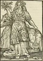 Picture 177 of 189 from Iconologia, of, Uytbeeldingen des verstands : waer in verscheiden afbeeldingen van deughden, ondeughden, genegentheden, menschlijcke hertztochten, konsten, leeringen, sinlijckheden, elementen, hemelsche lichamen, landschappen van Italien, revieren van alle deelen des werrelts, en alle andere ontallijcke stoffen, met hare verklaringen, werden verhandelt : een werck dat dienstigh is, allen reedenaers, poëten, schilders, beeldhouwers, teyckenaers, en alle andere konstbeminders en liefhebbers der geleertheyt en eerlijcke wetenschappen ... (1644), leaf 624