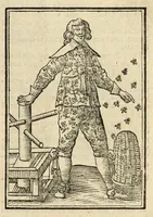 Picture 36 of 73 from Iconologia, of uytbeeldingen des verstands (1644), leaf 279
