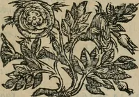 Picture 6 of 210 from Iconologia, ouero Descrittione d'imagini delle virtu', vitij, affetti, passioni humane, corpi celesti, mondo e sue parti. (1611), leaf 10