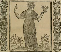 Picture 42 of 210 from Iconologia, ouero Descrittione d'imagini delle virtu', vitij, affetti, passioni humane, corpi celesti, mondo e sue parti. (1611), leaf 118