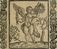Picture 82 of 210 from Iconologia, ouero Descrittione d'imagini delle virtu', vitij, affetti, passioni humane, corpi celesti, mondo e sue parti. (1611), leaf 220