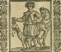 Picture 88 of 210 from Iconologia, ouero Descrittione d'imagini delle virtu', vitij, affetti, passioni humane, corpi celesti, mondo e sue parti. (1611), leaf 233