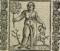 An illustration from Iconologia, ouero Descrittione d'imagini delle virtu', vitij, affetti, passioni humane, corpi celesti, mondo e sue parti. (1611)
