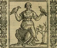 Picture 107 of 210 from Iconologia, ouero Descrittione d'imagini delle virtu', vitij, affetti, passioni humane, corpi celesti, mondo e sue parti. (1611), leaf 289