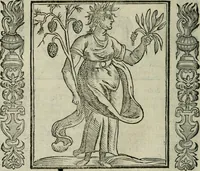 An illustration from Iconologia, ouero Descrittione d'imagini delle virtu', vitij, affetti, passioni humane, corpi celesti, mondo e sue parti. (1611)