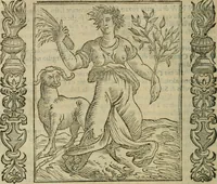 Picture 127 of 210 from Iconologia, ouero Descrittione d'imagini delle virtu', vitij, affetti, passioni humane, corpi celesti, mondo e sue parti. (1611), leaf 339