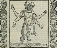 Picture 152 of 210 from Iconologia, ouero Descrittione d'imagini delle virtu', vitij, affetti, passioni humane, corpi celesti, mondo e sue parti. (1611), leaf 424