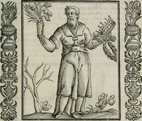 Picture 169 of 210 from Iconologia, ouero Descrittione d'imagini delle virtu', vitij, affetti, passioni humane, corpi celesti, mondo e sue parti. (1611), leaf 472