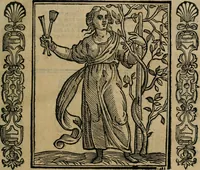 An illustration from Iconologia, ouero Descrittione d'imagini delle virtu', vitij, affetti, passioni humane, corpi celesti, mondo e sue parti. (1611)
