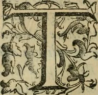 Picture 5 of 210 from Iconologia, ouero Descrittione d'imagini delle virtu', vitij, affetti, passioni humane, corpi celesti, mondo e sue parti. (1611), leaf 9