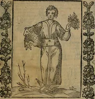 Picture 54 of 166 from Iconologia, ouero, Descrittione di diuerse imagini cauate dall'antichità, & di propria inuentione (1603), leaf 152