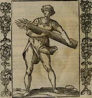 Picture 68 of 166 from Iconologia, ouero, Descrittione di diuerse imagini cauate dall'antichità, & di propria inuentione (1603), leaf 197