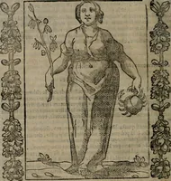 Picture 74 of 166 from Iconologia, ouero, Descrittione di diuerse imagini cauate dall'antichità, & di propria inuentione (1603), leaf 219
