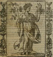 Picture 97 of 166 from Iconologia, ouero, Descrittione di diuerse imagini cauate dall'antichità, & di propria inuentione (1603), leaf 292