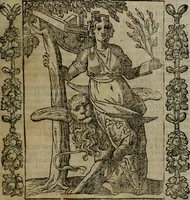 Picture 99 of 166 from Iconologia, ouero, Descrittione di diuerse imagini cauate dall'antichità, & di propria inuentione (1603), leaf 298